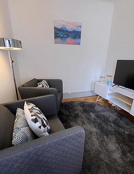 Furnished Studio in Rue de la Mairie 